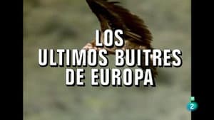 Episodio 25