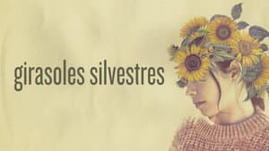 Girasoles silvestres — foto 6