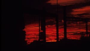 I HAVE NOT BEEN AFRAID OF GOING BLIND FOR A LONG TIME — foto 10