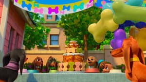 Encuentro perruno / ¡Feliz perrocumpleaños!