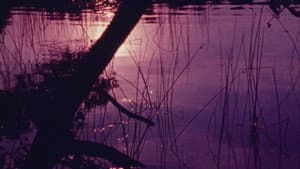 Isolation — foto 1