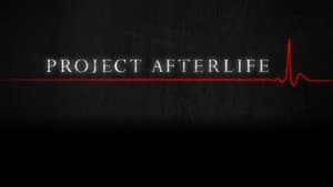 Project Afterlife — foto 1