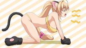 Baka na Imouto wo Rikou ni Suru no wa Ore no XX Dake na Ken ni Tsuite — foto 1