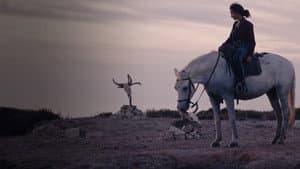 Animale — foto 2