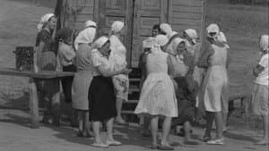 История Аси Клячиной, которая любила, да не вышла замуж — foto 1