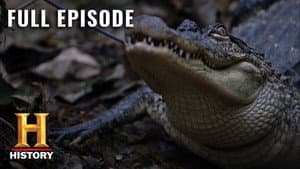 Episodio 5