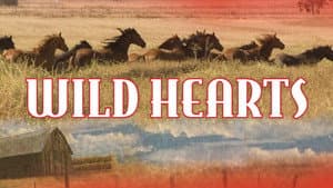 Wild Hearts — foto 3