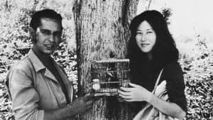 アンダルシアの虹 — foto 1