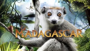 Madagascar 3D — foto 2