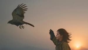 H Is for Hawk — foto 2