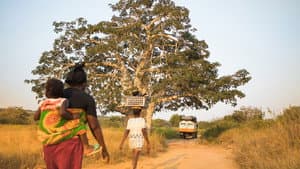 Territorio Africano 2 — foto 9