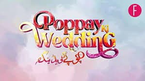 پاپے کی ویڈنگ — foto 1