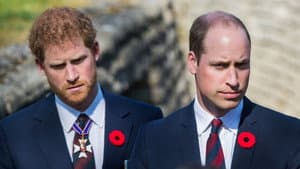 The Princes and the Press — foto 3