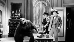 The Gorilla — foto 1