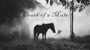 Death of a Mule — foto 1
