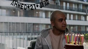 #YOLO4REAL — foto 4