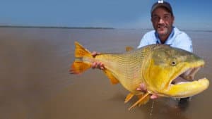 Monster Fish — foto 5