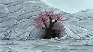 Animated World Faiths — foto 1