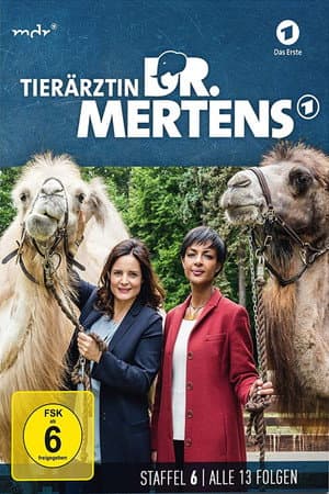 Temporada 6