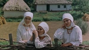 Пропала грамота — foto 5