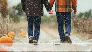 Snow Falling on Pumpkins — foto 4