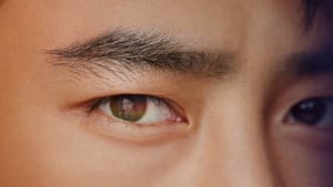 더 게임 : 0시를 향하여 — foto 1