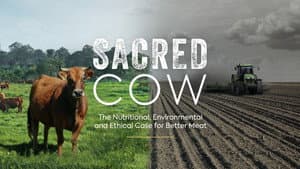 Sacred Cow: The Nutritional, Environmental and Ethical Case for Better Meat — foto 1