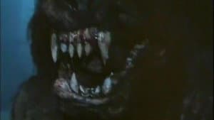 The Dark — foto 2