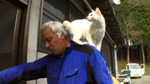 劇場版 ナオト、いまもひとりっきり — foto 1