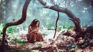Die Gänseprinzessin — foto 3