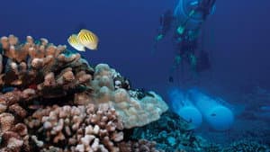 On a dormi sous la mer — foto 1