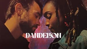 Dandelion — foto 9