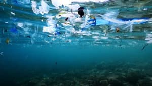 Oceans The Mystery of the Missing Plastic — foto 1