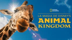 La Magia de Animal Kingdom de Disney — foto 5