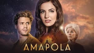 Amapola — foto 3