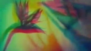 The Psychedelic Experience — foto 1