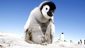 Penguins: Spy in the Huddle — foto 3