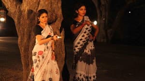 டார்ச்லைட் — foto 1
