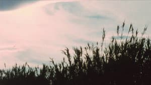 An Architecture of Desire — foto 3