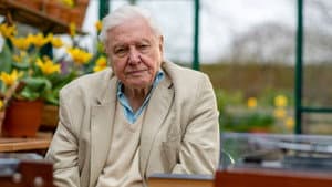 Attenborough's Wonder of Song — foto 3