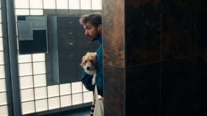 Hond & ik — foto 2