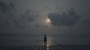 বলী — foto 3