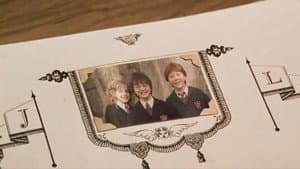 Harry Potter — foto 6