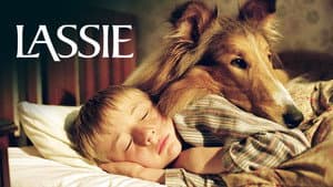 Lassie — foto 6