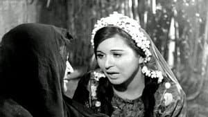 الزوجة الثانية — foto 9