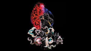 Björk: Cornucopia — foto 7