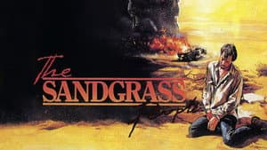 The Sandgrass People — foto 8
