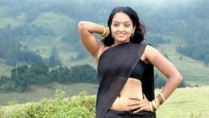 சங்கரன்கோவில் — foto 1