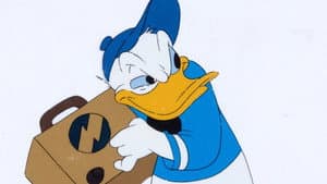 Slide Donald Slide — foto 1