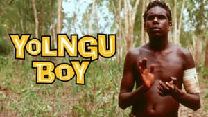 Yolngu Boy — foto 2